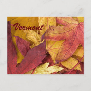 Vermont Autumn Leaves Postcard