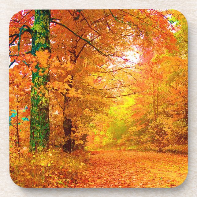 Vermont Autumn Nature Landscape Coaster (Front)