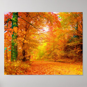 Vermont Autumn Nature Landscape Fine Art Poster