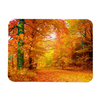 Vermont Autumn Nature Landscape Magnet
