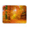 Vermont Autumn Nature Landscape