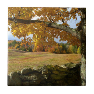 Vermont Autumn View Tile