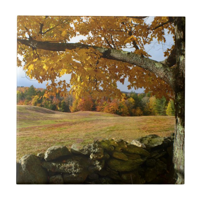 Vermont Autumn View Tile (Front)