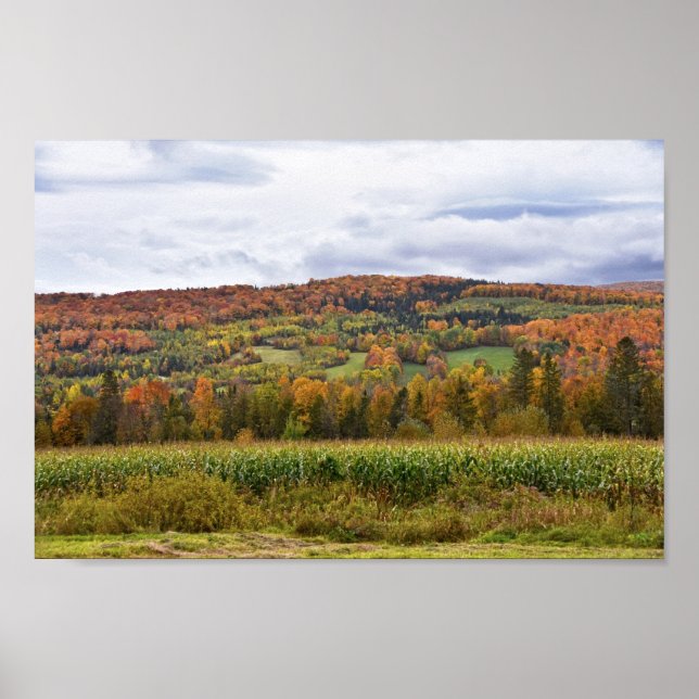 Vermont Corn Field in Autumn Poster (Front)
