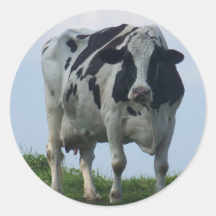 Vermont Dairy Cow Classic Round Sticker