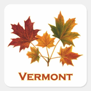 Vermont Fall Foliage - Maple Leaves Square Sticker