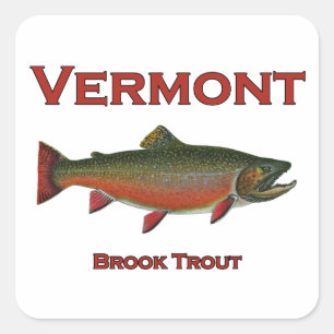 Vermont Fishing - Brook Trout Square Sticker
