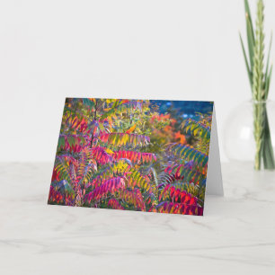 Vermont Foliage Card
