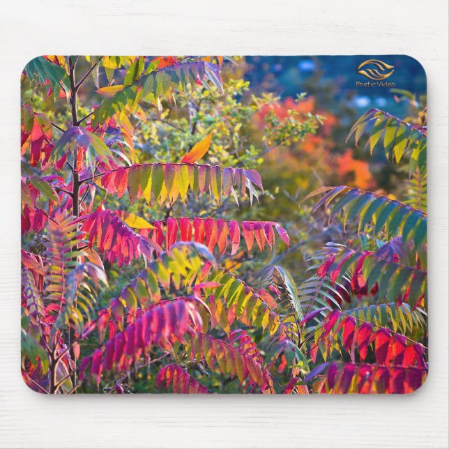 Vermont Foliage Mouse Mat (Front)
