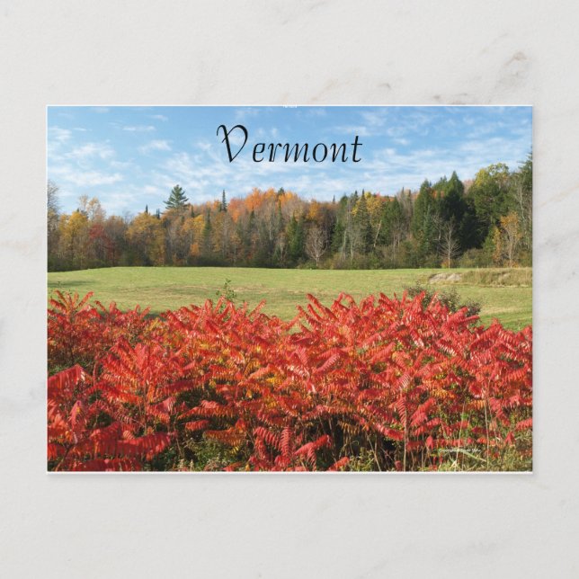 Vermont in Colour Postcard (Front)