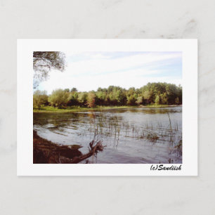 Vermont Lake Front Postcard