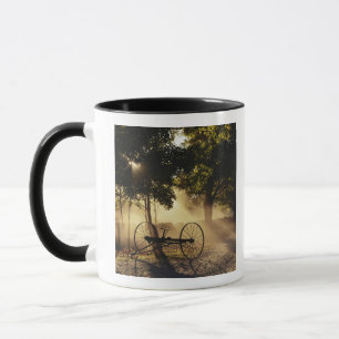 Vermont, Northeast Kingdom, Sunlight falling Mug
