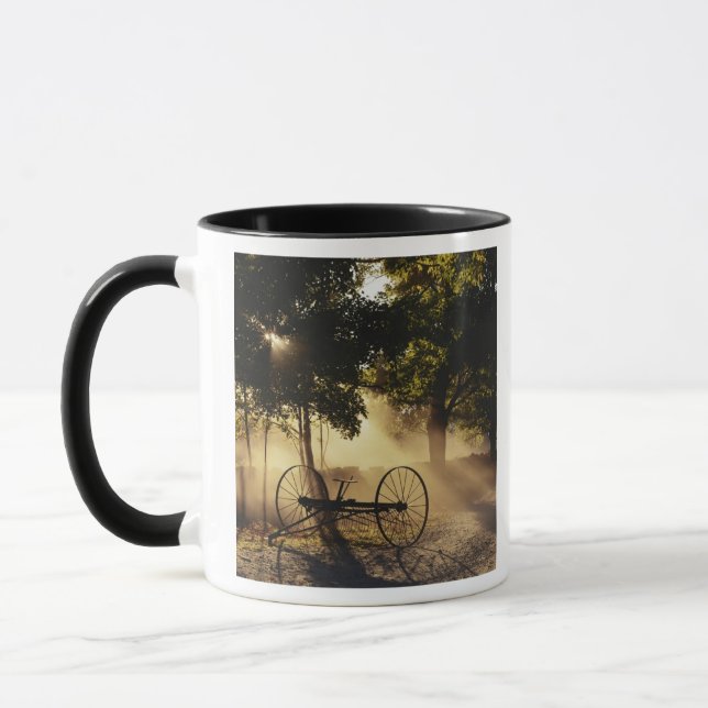 Vermont, Northeast Kingdom, Sunlight falling Mug (Left)