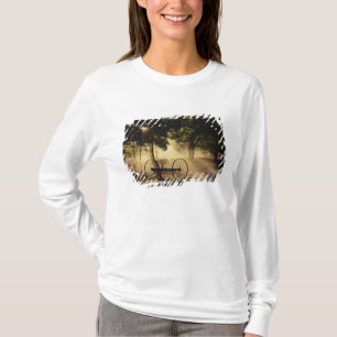 Vermont, Northeast Kingdom, Sunlight falling T-Shirt