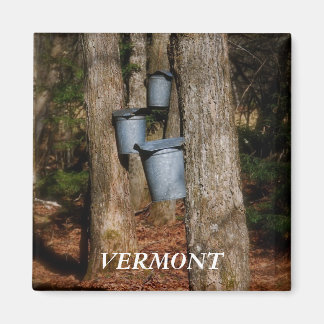 Vermont Sap Buckets Magnet