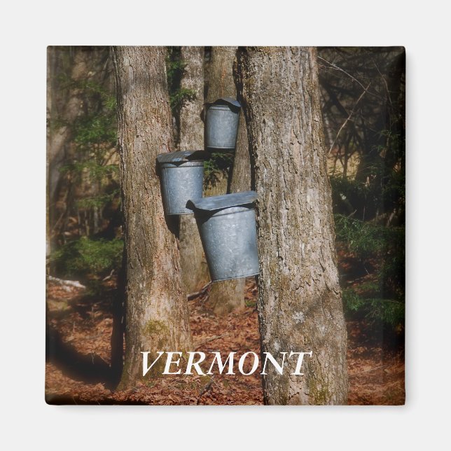 Vermont Sap Buckets Magnet (Front)