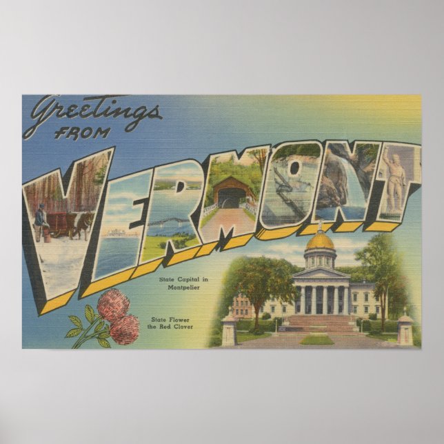 Vermont (State Capital/Flower) - Poster (Front)
