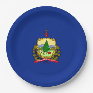 Vermont State Flag Design Decor Paper Plate