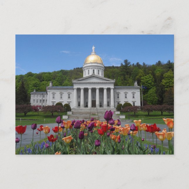 Vermont State House -Montpelier Postcard (Front)