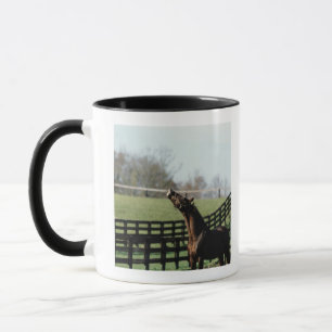 Vermont, USA 2 Mug
