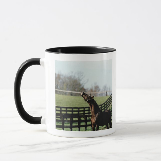 Vermont, USA 2 Mug (Left)