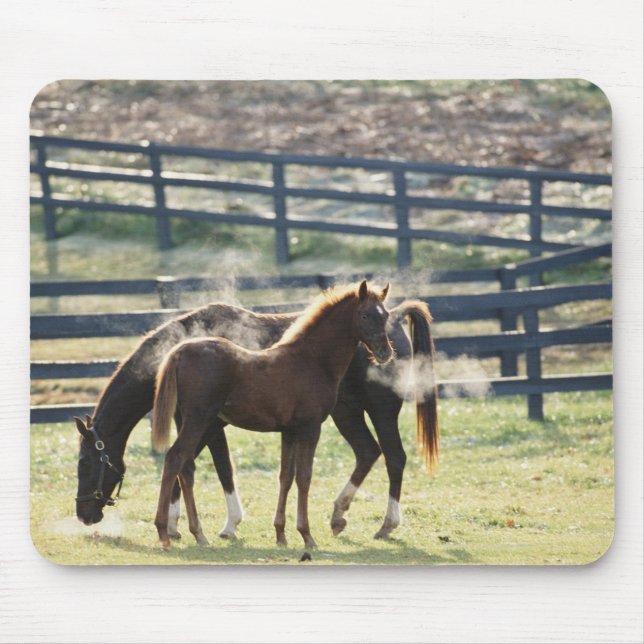 Vermont, USA Mouse Mat (Front)