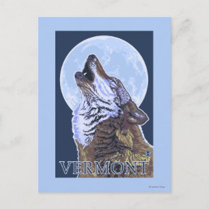 VermontHowling Wolf Postcard