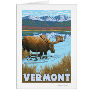VermontMoose Drinking in Lake