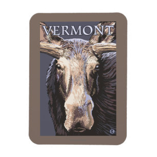 VermontMoose Up Close Magnet