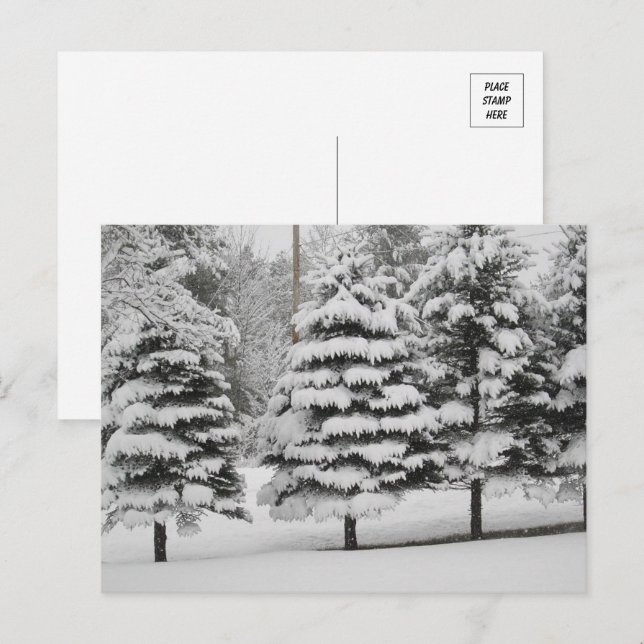 Vermont's Winter Wonderland in B&W Postcard (Front/Back)