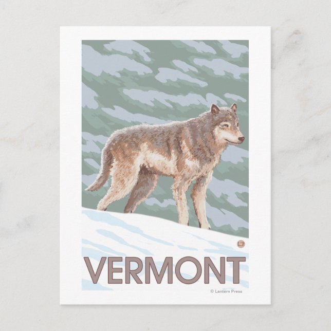 VermontWolf Scene Postcard (Front)