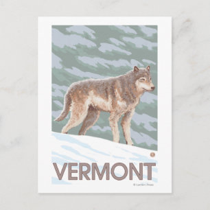VermontWolf Scene Postcard