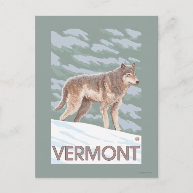 VermontWolf Scene Postcard (Front)