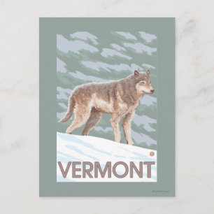 VermontWolf Scene Postcard