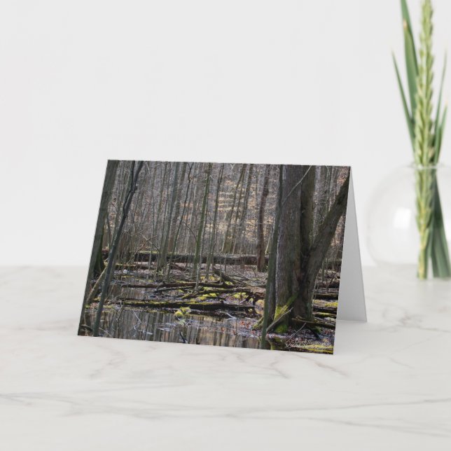 Vernal Pools 7 x 5 Folded Greeting Card - blank (Front)