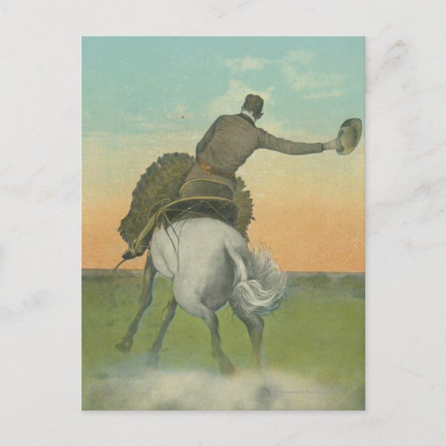 Verne Elliott on High Tower. Postcard (Front)