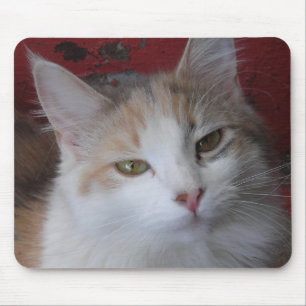 Veronica the beautiful -Mousepad Mouse Mat