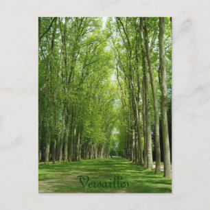 Versailles Trees Gardens Romantic Path France Postcard