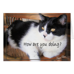 Versatile Card-you decide