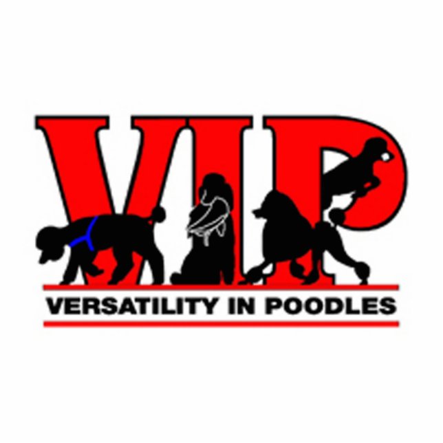 Versatility in Poodles Photo Sculpture Key Ring (Front)