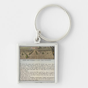 Verso Alameda County Key Ring