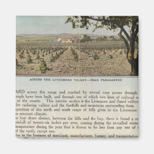 Verso Alameda County Magnet
