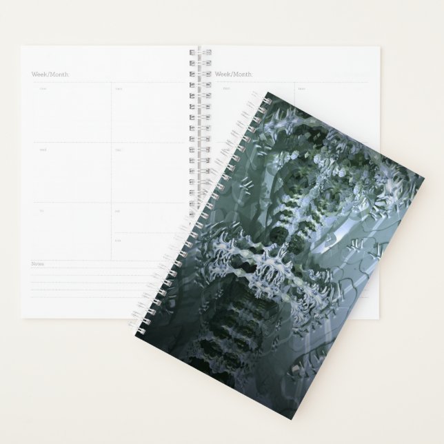 vertebra planner (Display)