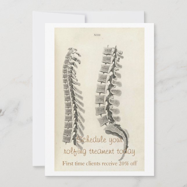 Vertebrae Drawing (Front)