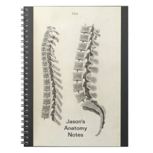 Vertebrae Drawing Notebook
