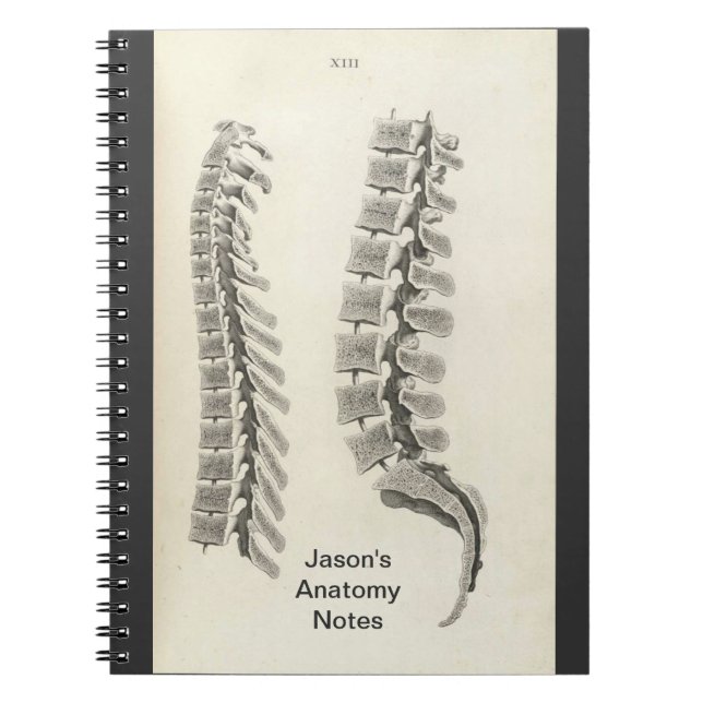 Vertebrae Drawing Notebook (Front)