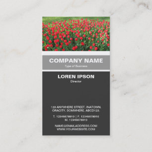 Vertical Banded - Bed of Red Tulips 01 Business Card