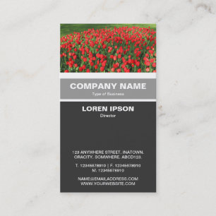 Vertical Banded - Bed of Red Tulips 02 Business Card