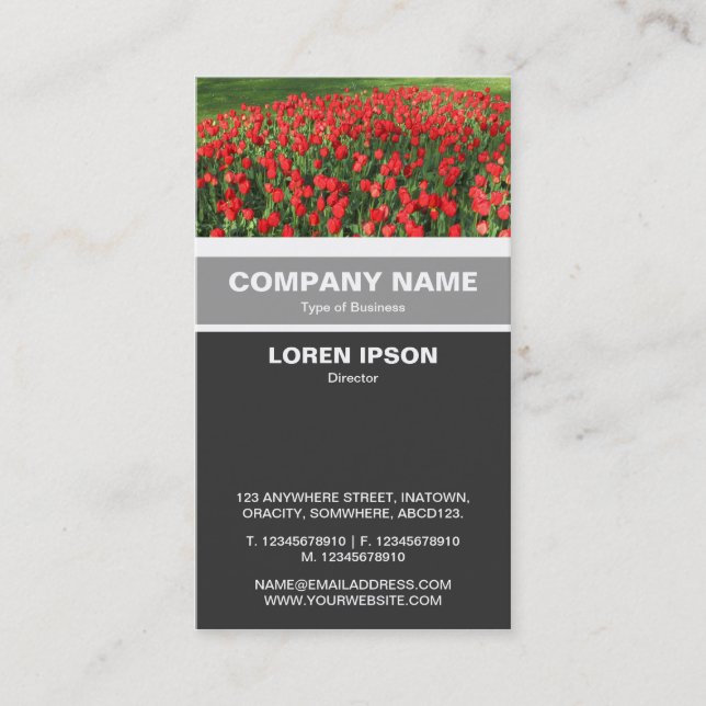 Vertical Banded - Bed of Red Tulips 02 Business Card (Front)