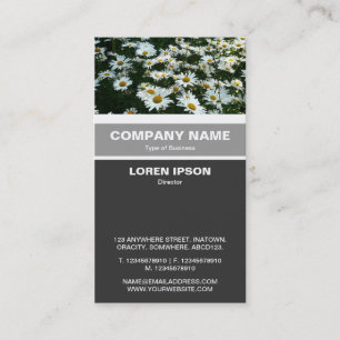 Vertical Banded - Shasta Daisies Business Card